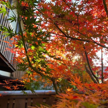 Imakumano Terrace - Dohachi An 道八庵 Villa Kyoto Dış mekan fotoğraf