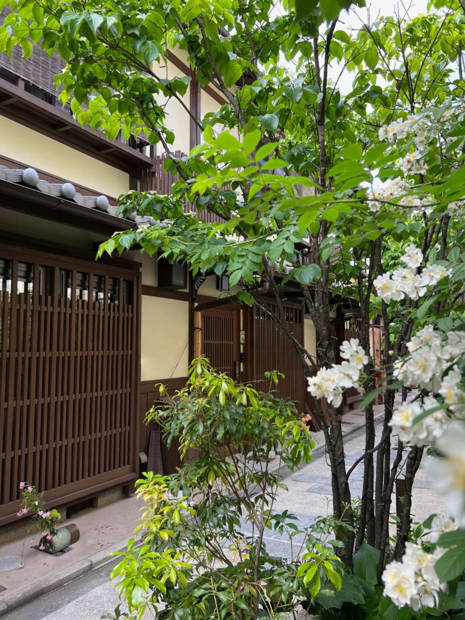 Imakumano Terrace - Dohachi An 道八庵 Villa Kyoto Dış mekan fotoğraf