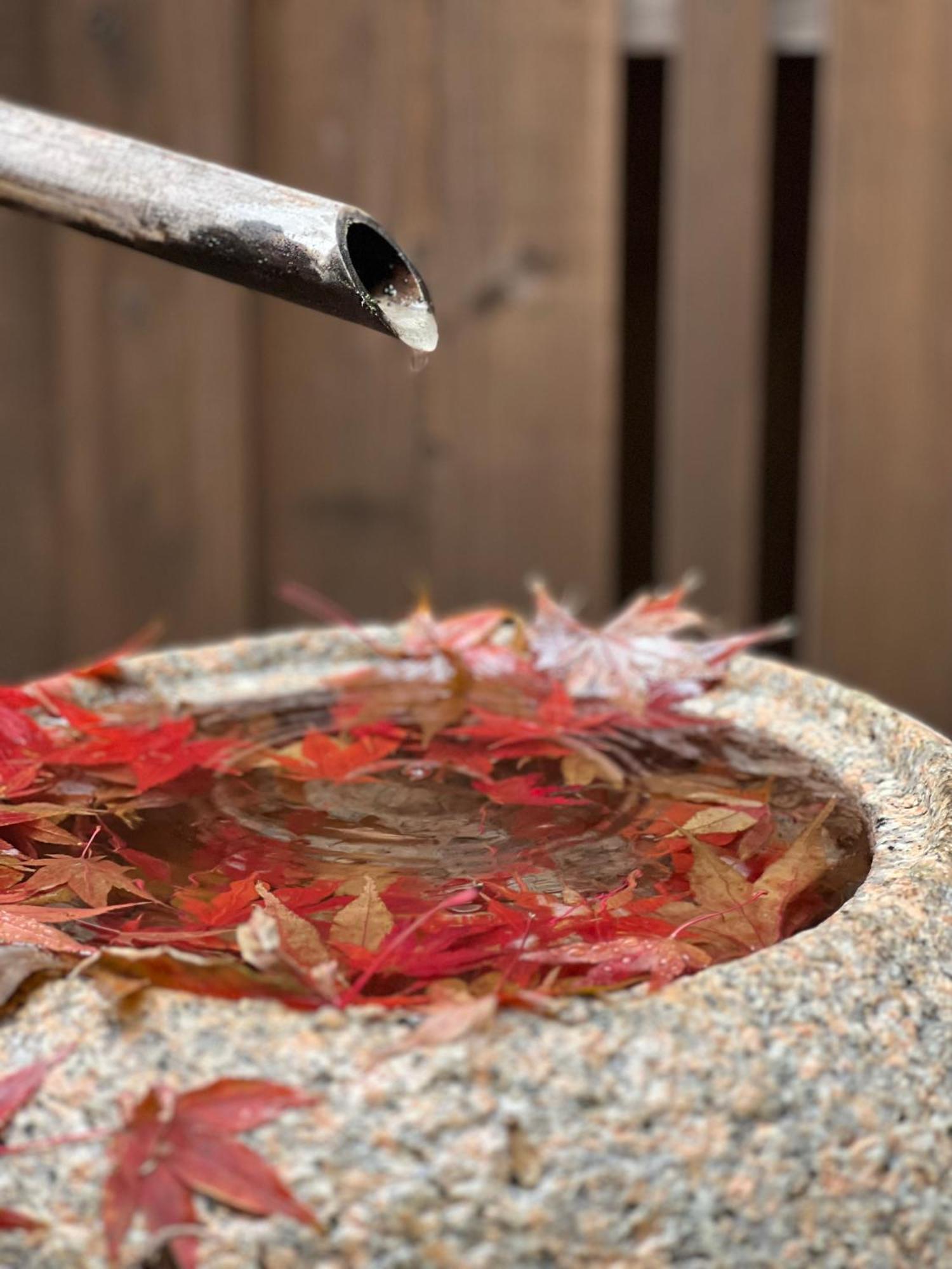 Imakumano Terrace - Dohachi An 道八庵 Villa Kyoto Dış mekan fotoğraf