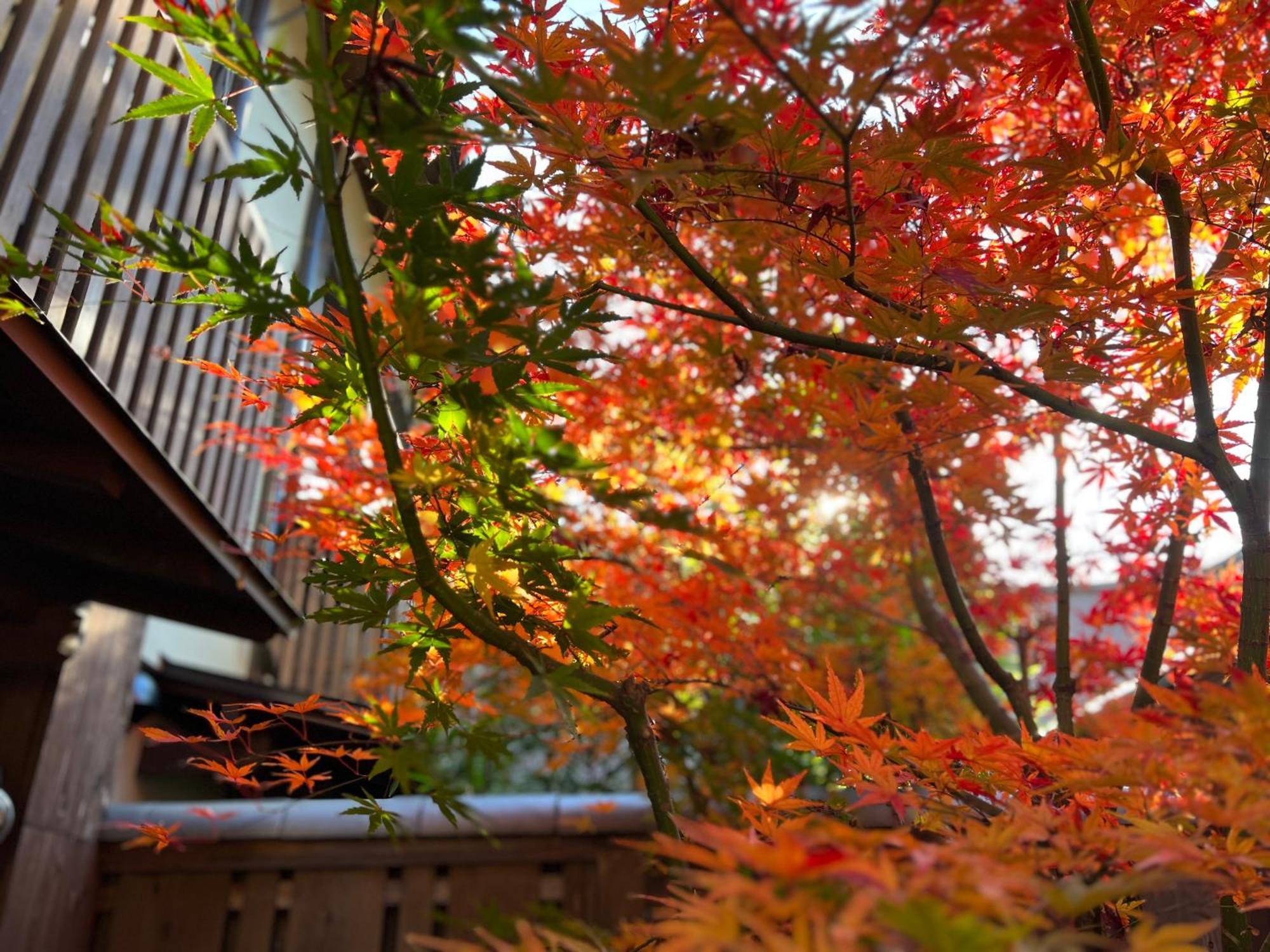Imakumano Terrace - Dohachi An 道八庵 Villa Kyoto Dış mekan fotoğraf
